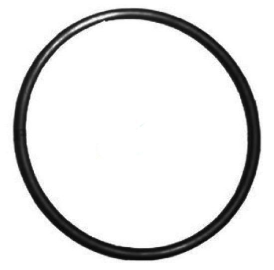 O-Ring for Standard Housing